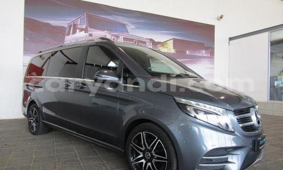 Tenga Tsaru Mercedes‒Benz Viano Sirivha Mota in Chinsali in Northern