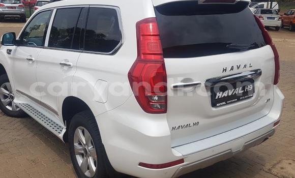 Buy Used Haval H9 White Car in Chilanga in Lusaka Buy Used Haval H9 White Car in Chilanga in Lusaka