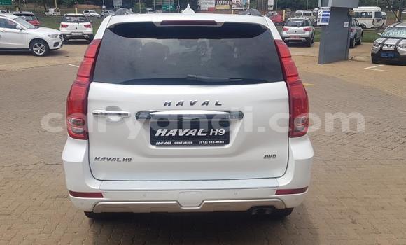Buy Used Haval H9 White Car in Chilanga in Lusaka Buy Used Haval H9 White Car in Chilanga in Lusaka