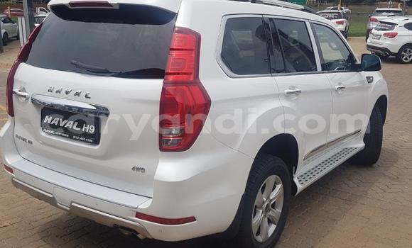 Buy Used Haval H9 White Car in Chilanga in Lusaka Buy Used Haval H9 White Car in Chilanga in Lusaka