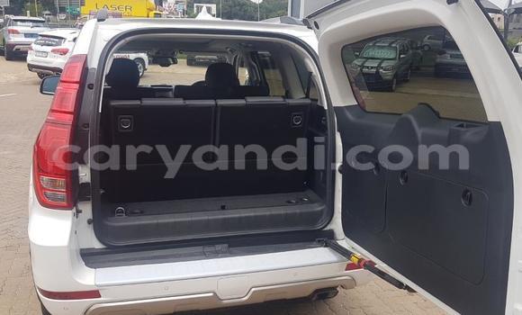 Buy Used Haval H9 White Car in Chilanga in Lusaka Buy Used Haval H9 White Car in Chilanga in Lusaka