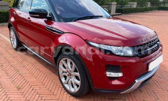 Tenga Tsaru Range Rover Evoque Tsvuku Mota in Chililabombwe in Copperbelt Tenga Tsaru Range Rover Evoque Tsvuku Mota in Chililabombwe in Copperbelt