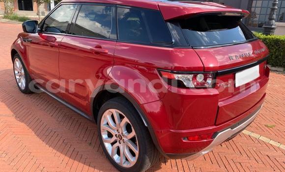 Tenga Tsaru Range Rover Evoque Tsvuku Mota in Chililabombwe in Copperbelt Tenga Tsaru Range Rover Evoque Tsvuku Mota in Chililabombwe in Copperbelt