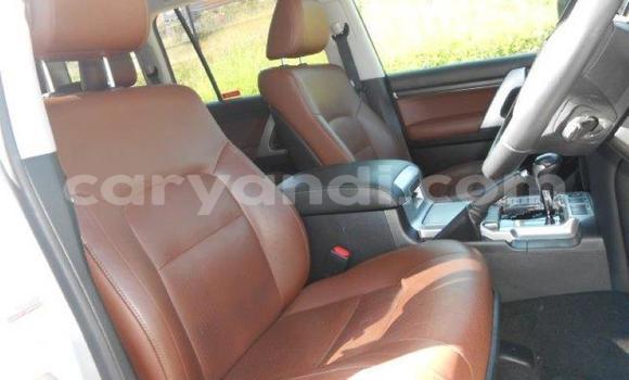 Acheter Occasion Voiture Toyota Land Cruiser Gris à Lusaka, Zambie Acheter Occasion Voiture Toyota Land Cruiser Gris à Lusaka, Zambie