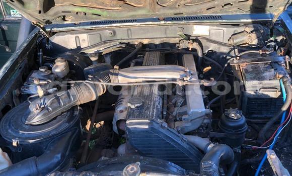 Buy Used Toyota Land Cruiser Green Car in Lusaka in Zambia Buy Used Toyota Land Cruiser Green Car in Lusaka in Zambia