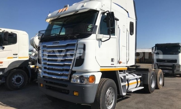 Buy Used DAF CF White Truck in Chipata in Zambia
