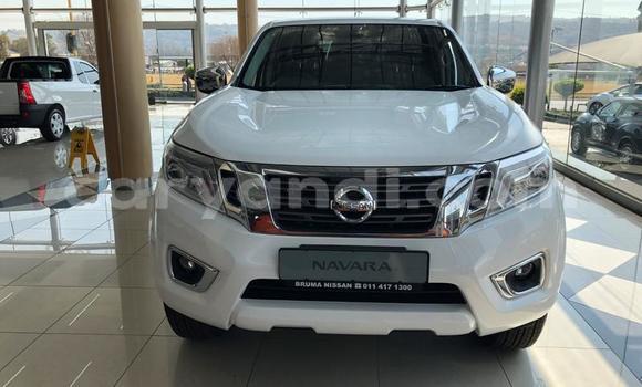 Acheter Occasion Voiture Nissan Navara Blanc à Lusaka, Zambie Acheter Occasion Voiture Nissan Navara Blanc à Lusaka, Zambie
