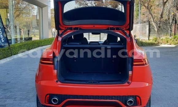 Buy Used Jaguar E-Pace Red Car in Chingola in Zambia Buy Used Jaguar E-Pace Red Car in Chingola in Zambia