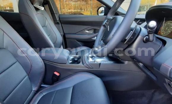 Buy Used Jaguar E-Pace Red Car in Chingola in Zambia Buy Used Jaguar E-Pace Red Car in Chingola in Zambia