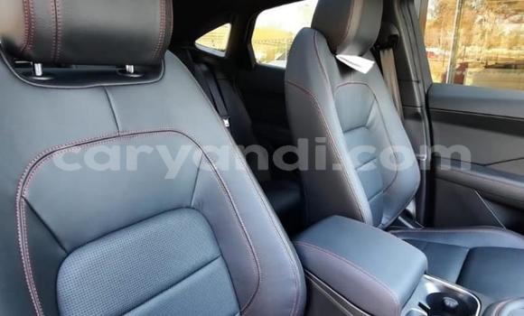 Buy Used Jaguar E-Pace Red Car in Chingola in Zambia Buy Used Jaguar E-Pace Red Car in Chingola in Zambia