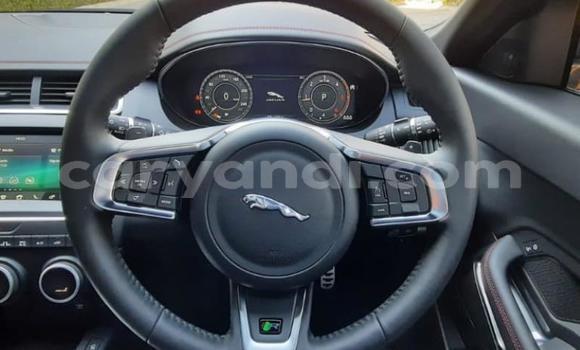 Buy Used Jaguar E-Pace Red Car in Chingola in Zambia Buy Used Jaguar E-Pace Red Car in Chingola in Zambia
