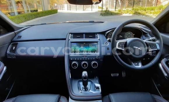 Buy Used Jaguar E-Pace Red Car in Chingola in Zambia Buy Used Jaguar E-Pace Red Car in Chingola in Zambia