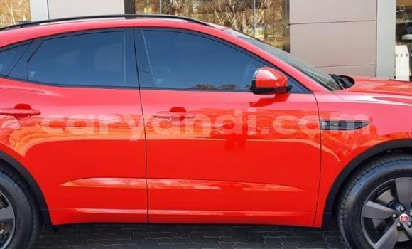 Buy Used Jaguar E-Pace Red Car in Chingola in Zambia Buy Used Jaguar E-Pace Red Car in Chingola in Zambia