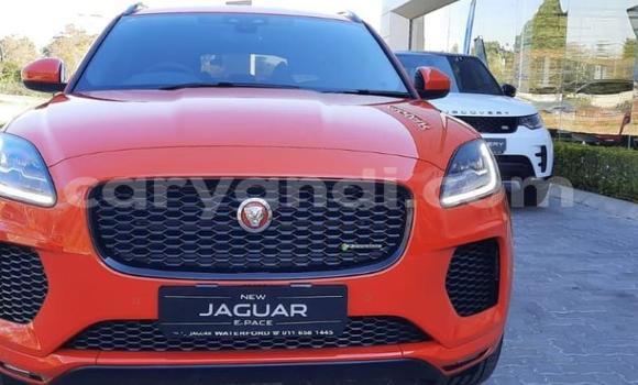 Buy Used Jaguar E-Pace Red Car in Chingola in Zambia Buy Used Jaguar E-Pace Red Car in Chingola in Zambia