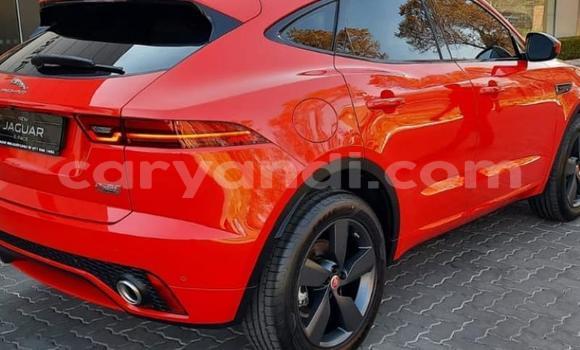 Buy Used Jaguar E-Pace Red Car in Chingola in Zambia Buy Used Jaguar E-Pace Red Car in Chingola in Zambia