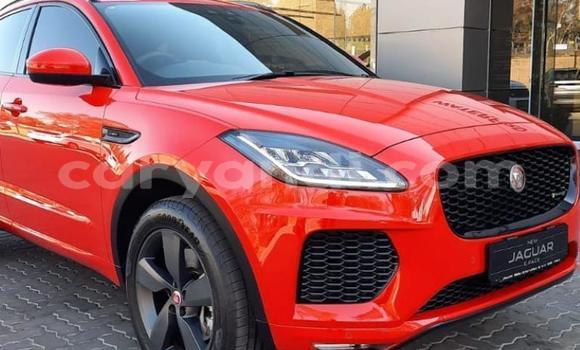 Buy Used Jaguar E-Pace Red Car in Chingola in Zambia Buy Used Jaguar E-Pace Red Car in Chingola in Zambia