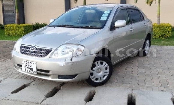 Buy Used Toyota Corolla Silver Car in Chambishi in Copperbelt Buy Used Toyota Corolla Silver Car in Chambishi in Copperbelt