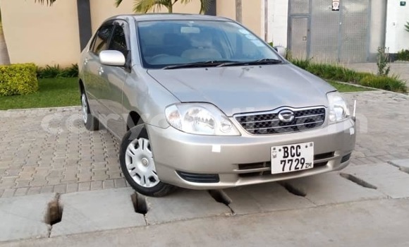 Buy Used Toyota Corolla Silver Car in Chambishi in Copperbelt Buy Used Toyota Corolla Silver Car in Chambishi in Copperbelt