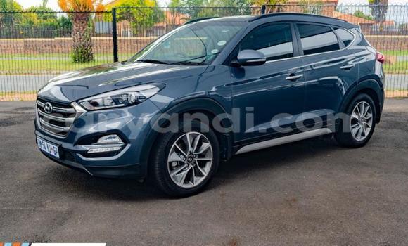 Buy Used Hyundai Tucson Blue Car in Ndola in Zambia Buy Used Hyundai Tucson Blue Car in Ndola in Zambia