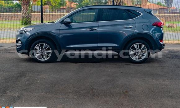Acheter Occasion Voiture Hyundai Tucson Bleu à Ndola, Zambie Acheter Occasion Voiture Hyundai Tucson Bleu à Ndola, Zambie