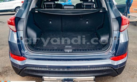 Acheter Occasion Voiture Hyundai Tucson Bleu à Ndola, Zambie Acheter Occasion Voiture Hyundai Tucson Bleu à Ndola, Zambie
