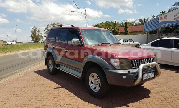 Tenga Tsaru Toyota Prado Tsvuku Mota in Livingstone in Zambia