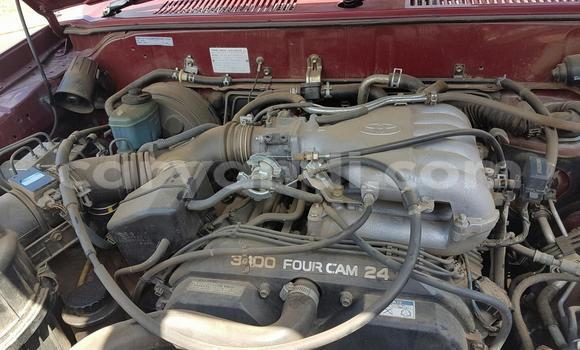 Buy Used Toyota Prado Red Car in Livingstone in Zambia Buy Used Toyota Prado Red Car in Livingstone in Zambia