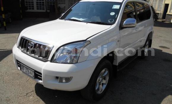 Buy Used Toyota Prado White Car in Livingstone in Zambia