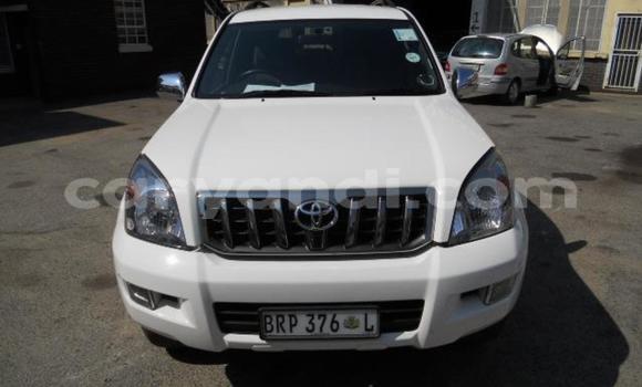 Buy Used Toyota Prado White Car in Livingstone in Zambia Buy Used Toyota Prado White Car in Livingstone in Zambia
