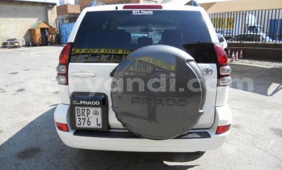 Buy Used Toyota Prado White Car in Livingstone in Zambia Buy Used Toyota Prado White Car in Livingstone in Zambia