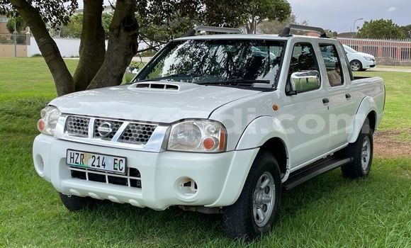 Buy Used Nissan Hardbody White Car in Chipata in Zambia