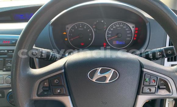 Buy Used Hyundai Galloper Other Car in Chingola in Zambia Buy Used Hyundai Galloper Other Car in Chingola in Zambia