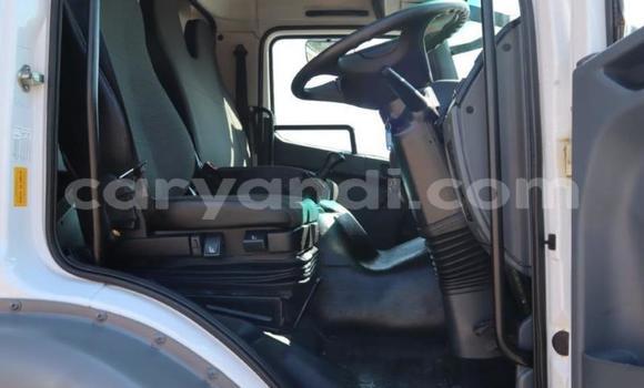 Buy Used Mitsubishi Fuso White Truck in Chilanga in Lusaka Buy Used Mitsubishi Fuso White Truck in Chilanga in Lusaka