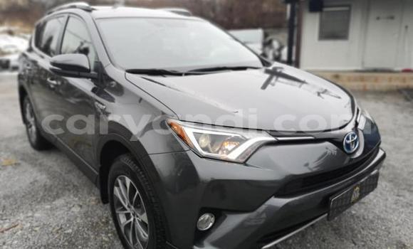 Buy Used Toyota RAV4 Other Car in Lusaka in Zambia Buy Used Toyota RAV4 Other Car in Lusaka in Zambia