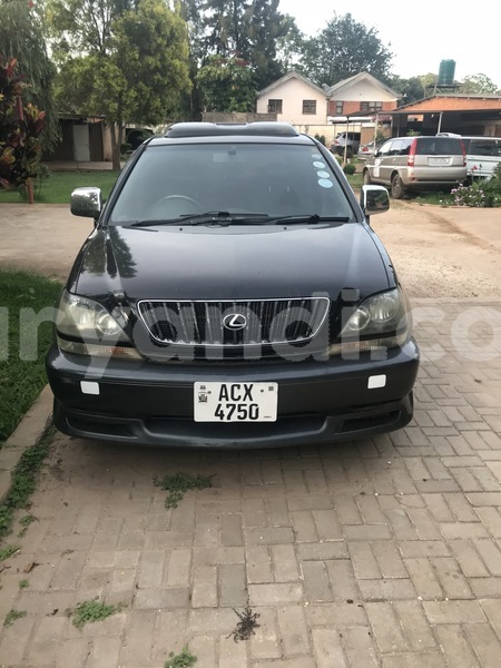 Big with watermark img 1455