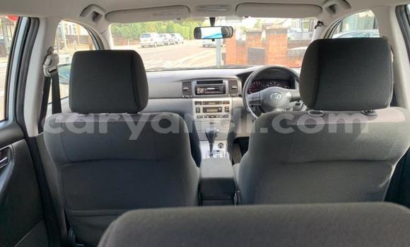 Buy Used Toyota Runx Other Car in Lusaka in Zambia Buy Used Toyota Runx Other Car in Lusaka in Zambia