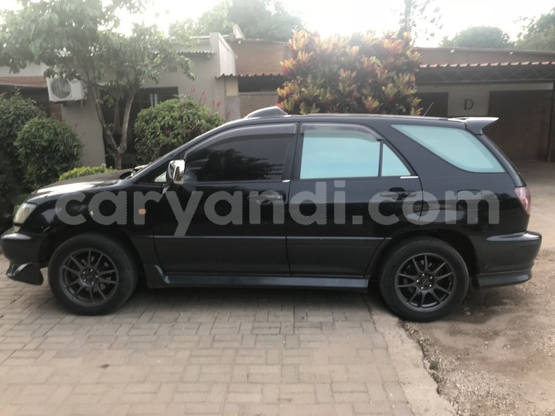 Big with watermark img 1456