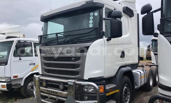 Buy Used Scania R420 White Truck in Katete in Eastern