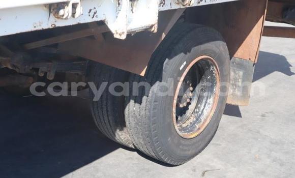 Buy Used DAF CF White Truck in Siavonga in Southern Buy Used DAF CF White Truck in Siavonga in Southern
