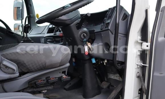 Buy Used Isuzu FTR 850 Other Truck in Solwezi in North-Western Buy Used Isuzu FTR 850 Other Truck in Solwezi in North-Western