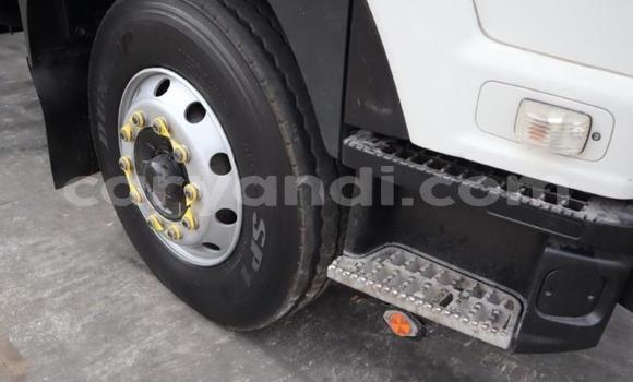 Buy Used Isuzu FTR 850 Other Truck in Solwezi in North-Western Buy Used Isuzu FTR 850 Other Truck in Solwezi in North-Western