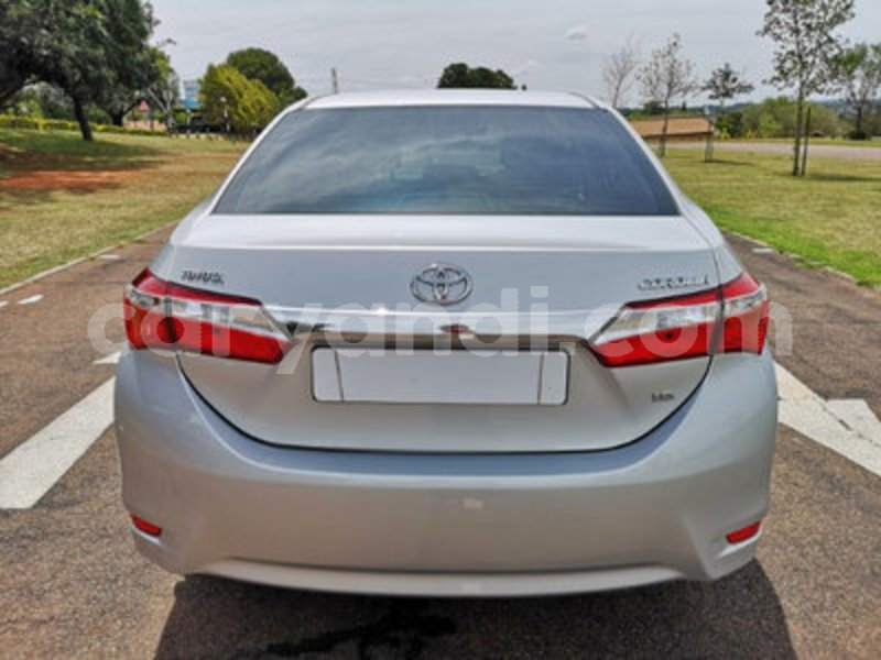 Big with watermark toyota corolla 7