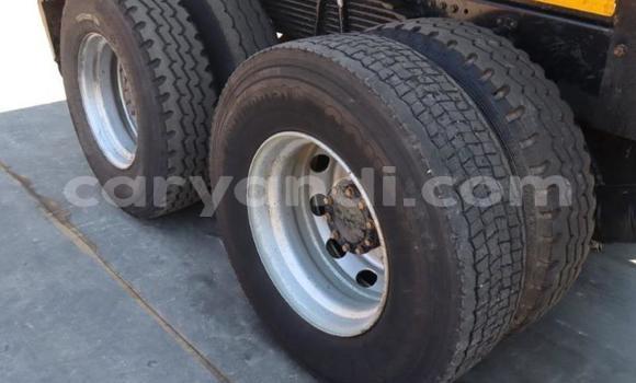 Tenga Tsaru Nissan UD Chena Rori in Mbala in Northern Tenga Tsaru Nissan UD Chena Rori in Mbala in Northern