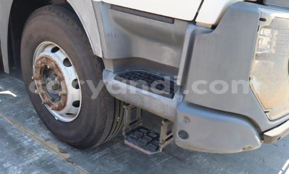 Tenga Tsaru Nissan UD Chena Rori in Mbala in Northern Tenga Tsaru Nissan UD Chena Rori in Mbala in Northern