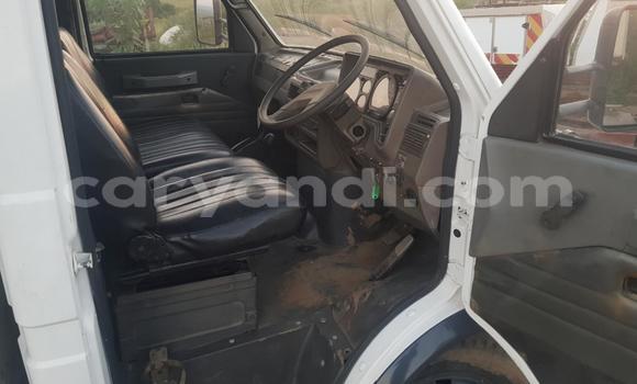 Buy Used Iveco Daily White Truck in Chilanga in Lusaka Buy Used Iveco Daily White Truck in Chilanga in Lusaka