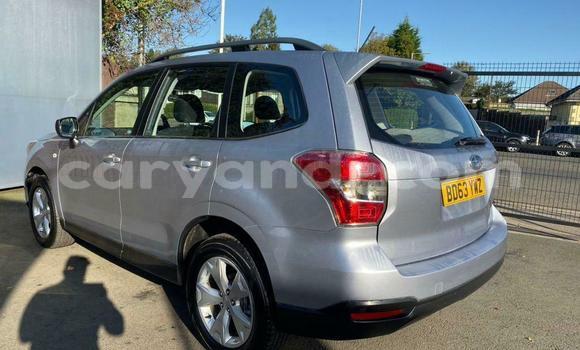 Buy Used Subaru Forester Other Car in Lusaka in Zambia Buy Used Subaru Forester Other Car in Lusaka in Zambia