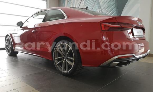 Buy Used Audi A5 Red Car in Chingola in Zambia Buy Used Audi A5 Red Car in Chingola in Zambia