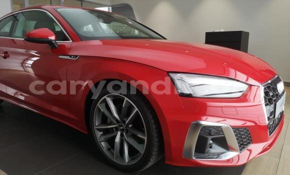 Buy Used Audi A5 Red Car in Chingola in Zambia Buy Used Audi A5 Red Car in Chingola in Zambia