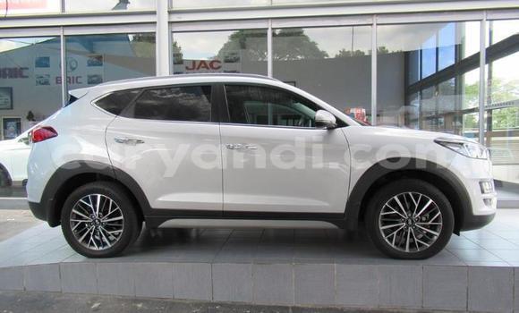 Acheter Occasion Voiture Hyundai Tucson Blanc à Choma, Du sud Acheter Occasion Voiture Hyundai Tucson Blanc à Choma, Du sud