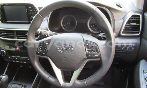 Acheter Occasion Voiture Hyundai Tucson Blanc à Choma, Du sud Acheter Occasion Voiture Hyundai Tucson Blanc à Choma, Du sud